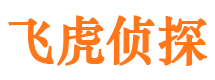 连南市调查公司